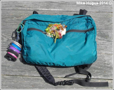 Photo by Mike Hogue 2013 ©