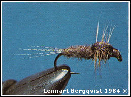 Bild på flytande strömsländenymf, foto av Lennart Bergqvist