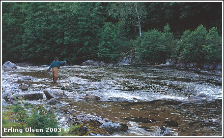 Bild på laksefiskere, av Erling Olsen © 2003