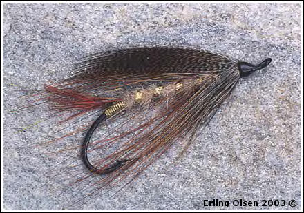 Bild på The Brown Erling - forenklet versjon med fjærvinge. Av Erling Olsen 2003 ©