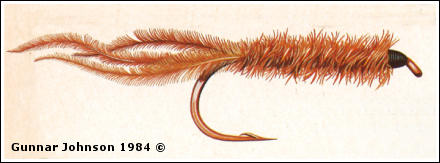 Bild på igel, av Gunnar Johnson 1984 ©