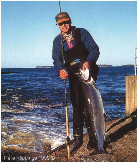 Bild: På torra land. Pelle Klippinge är dyblöt efter simturen, men med 16-kilos laxen på "terra firma". Emåns utlopp i havet i bakgrunden.