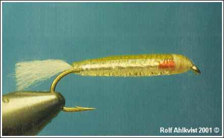 Flexibody Polystickle, foto av Rolf Ahlkvist ©