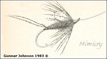 Fluga med luftinneslutning (mimicry)