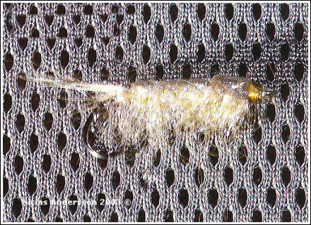 Bild på flugan "Winter Shrimp" av Niclas Andersson © 2003