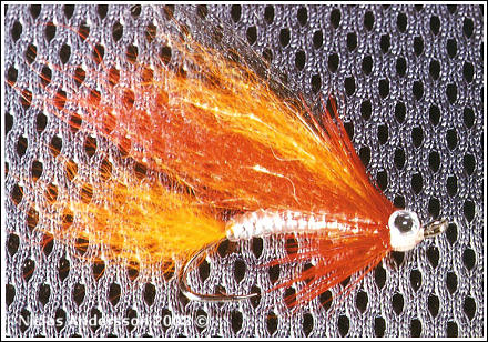 Bild på flugan "Mr. Mogge" av Niclas Andersson © 2003