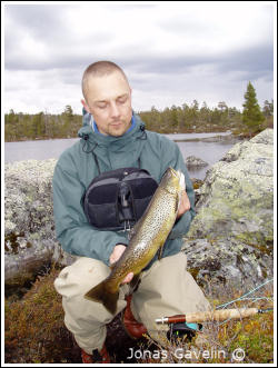 Fin öring från Storån