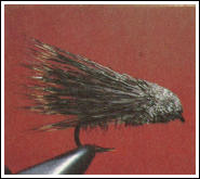 Streaking Caddis, fluga