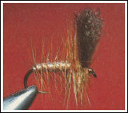Nalle Puh (Simo Lumme, poly-variant), fluga