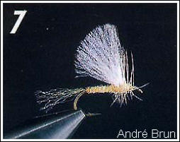 Bindmoment 7