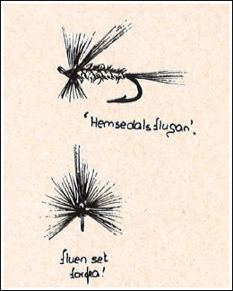 "Hemsedalsflugan"