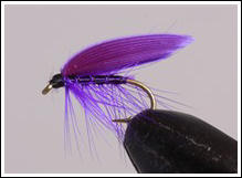 Deep Purple