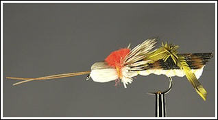 Henry's Fork Hopper