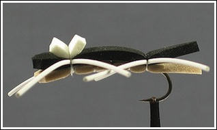 Chernobyl Ant
