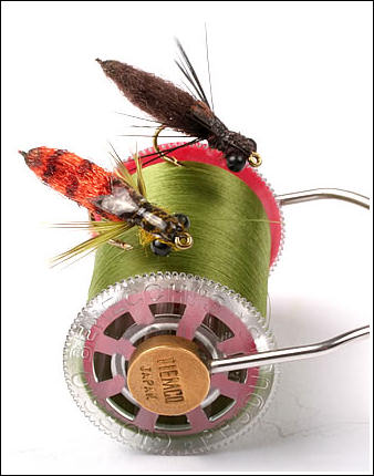 Other variants of the same fly