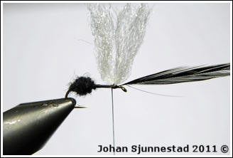Bindmoment 2.