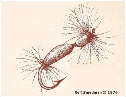 Fluga