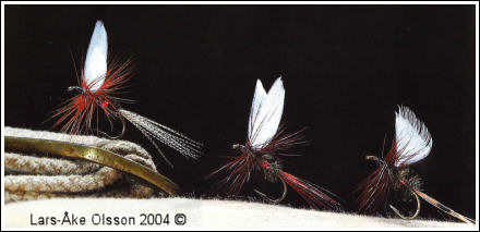 Royal Coachman med stjrtsprt av wood duck, Royal Coachman med stjrtsprt av brun tupp, Royal Coachman Fan Wing. 