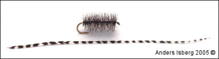 Genetiskt hackel