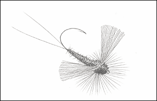 The completed fly