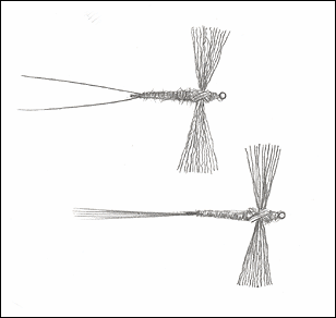 View on different tails