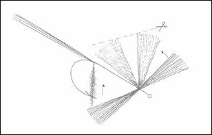 Pull all fibers in vertical direction, cut to same length.