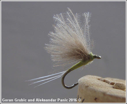 CDC No-hackle BWO (The Krejica)