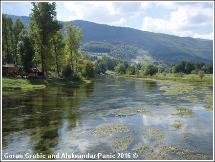 The Pliva river