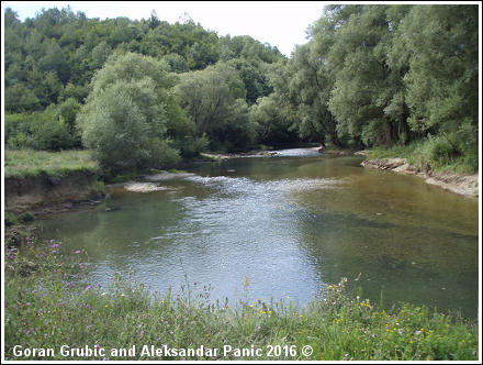 The Sanica river