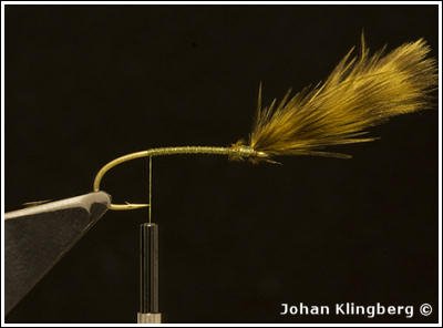 Johan Klingberg ©