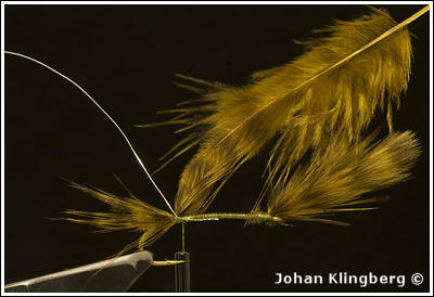 Johan Klingberg ©