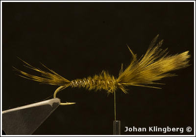 Johan Klingberg ©