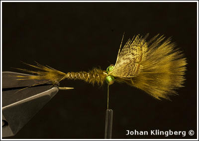 Johan Klingberg ©