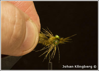 Johan Klingberg ©