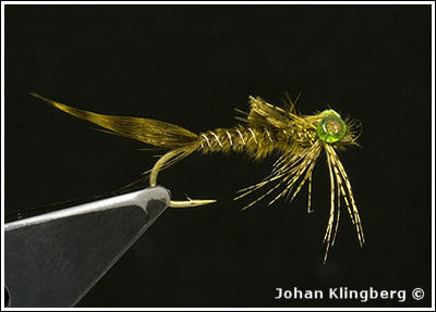 Johan Klingberg ©