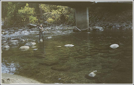 Dan Fallon fishing