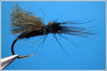 Parapoly Sedge Black/Grey. Photographs: Hans Weilenmann ©