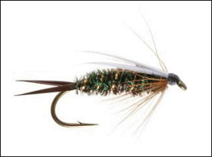 Prince nymph