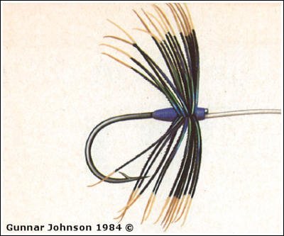 Stewarts Dark Starling Spider