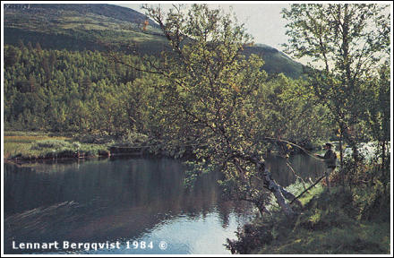 Hola, foto av Lennart Bergqvist © 1984