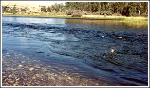 The Bighorn river