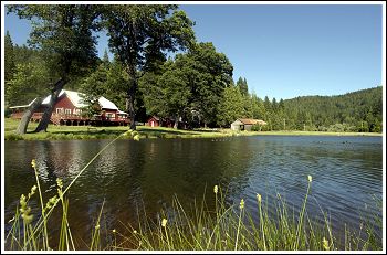 Digger Creek Ranch