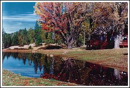 Digger Creek Ranch