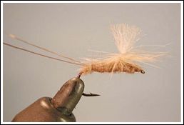 Grey Duster Parachute