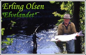 Boken Elvelandet av Erling Olsen