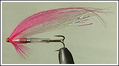 Pinky IBS fly