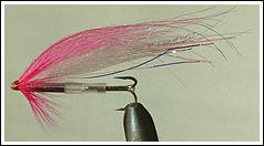 Pinky IBS fly