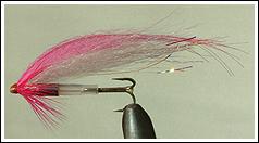 Pinky IBS fly