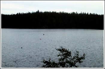Sjövy