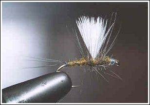 Thorax Dun